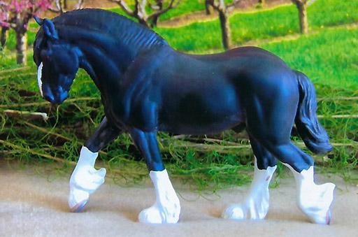 2025 MEPSA Draft Breed Reserve Grand Champion - RCC Gresham owned by Rhonda Chisholm