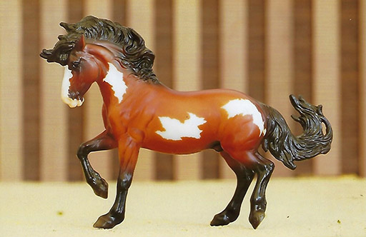 2025 MEPSA Gender Reserve Grand Champion - Boomerang owned by Jennifer Cole