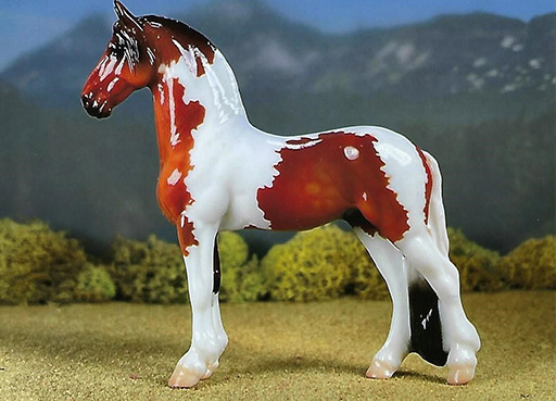 2025 MEPSA Other Breed Grand Champion - Djerico owned by Janet Cary