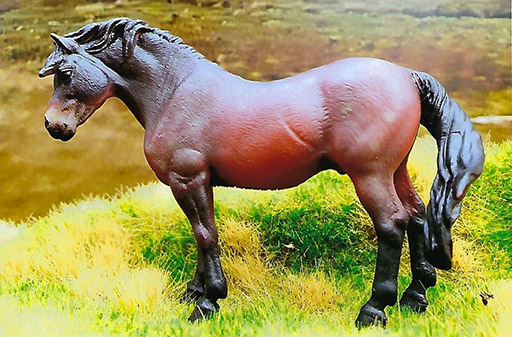 2025 MEPSA Pony Breed Reserve Grand Champion - Chiff Chaff owned by Beth Wetzel