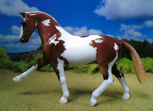 2025 MEPSA Sport Breed Reserve Grand Champion - Goblin King owned by Janet Cary