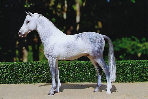 2025 MEPSA Sport Breed Grand Champion, Color Reserve Grand Champion, Workmanship Reserve Grand Champion - Waverly owned by Jennifer Cole