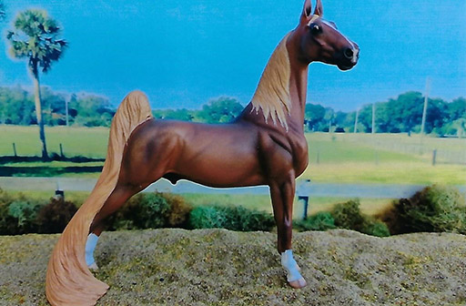 2025 MEPSA Gender Reserve Grand Champion - Marc of Fame owned by Tonjia Clark