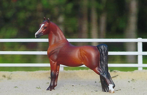 2025 MEPSA Light Breed Grand Champion - Obsession owned by Jennifer Cole