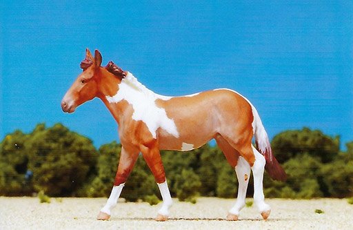 2025 MEPSA Other Breed Reserve Grand Champion - Polly owned by Jennifer Cole