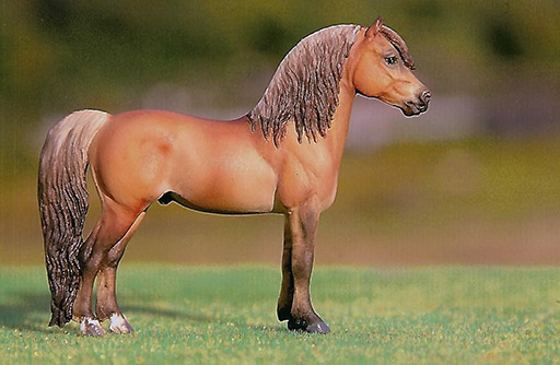 2025 MEPSA Pony Breed Grand Champion - Cadfael Cefin owned by Ardith Carlton