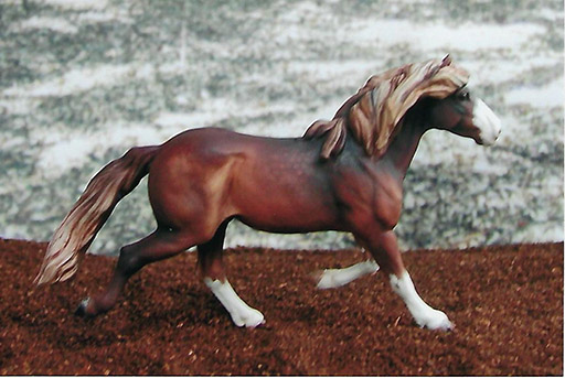 2025 MEPSA Pony Breed Reserve Grand Champion - Supertramp owned by Allison Malone