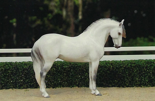 2025 MEPSA Spanish/Gaited Breed Grand Champion - Moriarti owned by Jennifer Cole