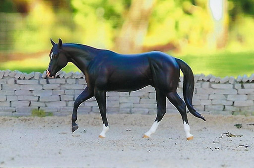 2025 MEPSA Stock Breed Grand Champion - Cadillac Cowboy owned by Jennifer Cole