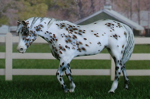 2025 MEPSA Stock Breed Reserve Grand Champion - Sotsona owned by Margaret "Peg" Harris