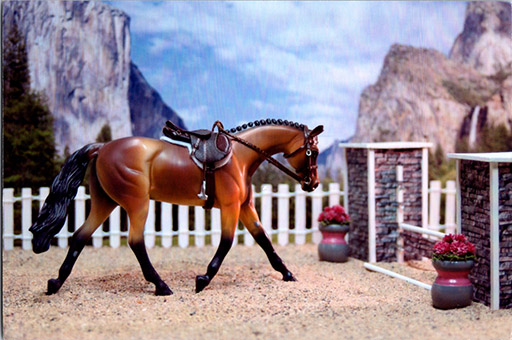 2025 MEPSA English Performance Grand Champion - One Trick Pony owned by Carolyn Bailey