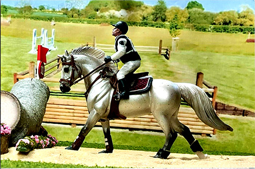 2025 MEPSA English Performance Reserve Grand Champion - Keen owned by Dawne Clayton