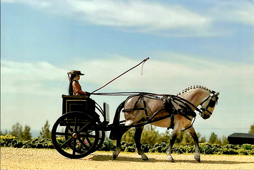 2025 MEPSA Other Performance Grand Champion - Kalypso owned by Dawne Clayton