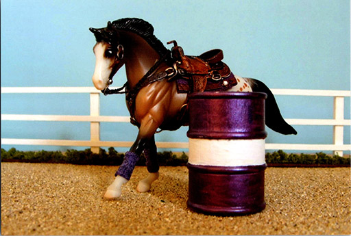 2025 MEPSA Western Performance Reserve Grand Champion - Push Play owned by Mary Vinyard