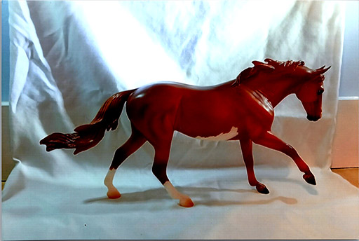 2025 MEPSA Novice Halter Judge's Choice, Halter Grand Champion - Fancy Like My Dance Moves owned by Natallie Horst