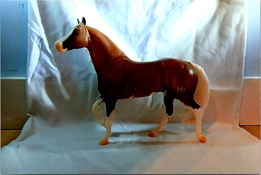 2025 MEPSA Novice Halter Reserve Grand Champion - I Come and I Go owned by Natallie Horst