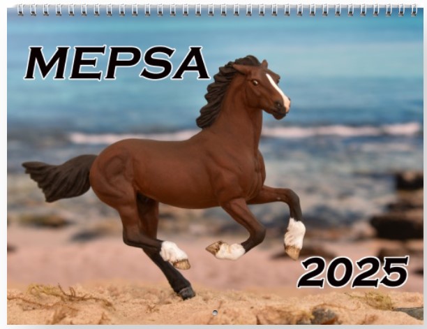 MEPSA 2025 Calendar