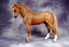 2008 Draft/Pony Breed Reserve Champion