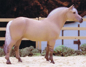 2009 Draft/Pony Breed Reserve Champion