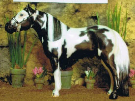 2009 Other Breed Reserve Champion