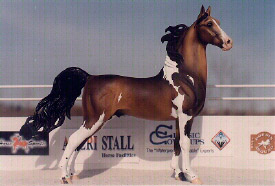 2009 Spanish/Gaited Breed Reserve Champion