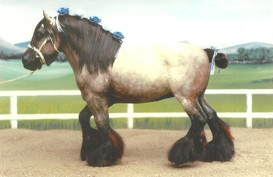 2011 Draft/Pony Breed Reserve Champion