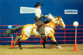 2011 Western Performance Reserve Champion