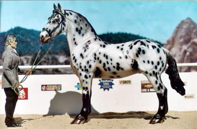 2012 Draft/Pony Breed Reserve Champion