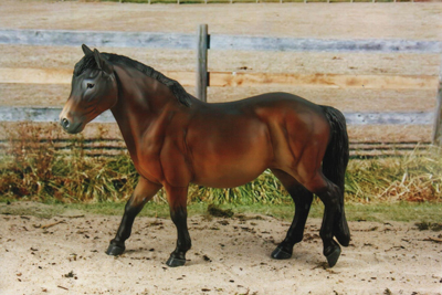 2019 Pony Breed Reserve Champion