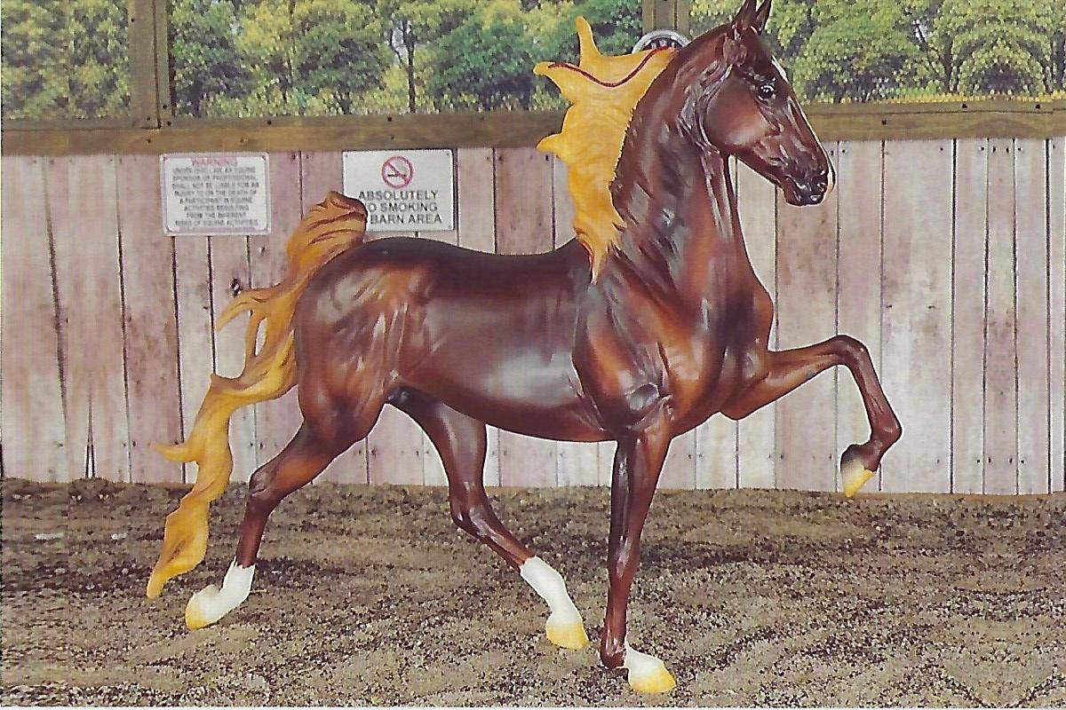 2022 Spanish/Gaited Breed Champion